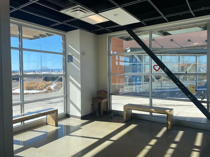 South Platte Veterinary Hospital Picture 5