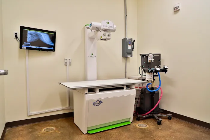 South Platte Veterinary Hospital Picture 4