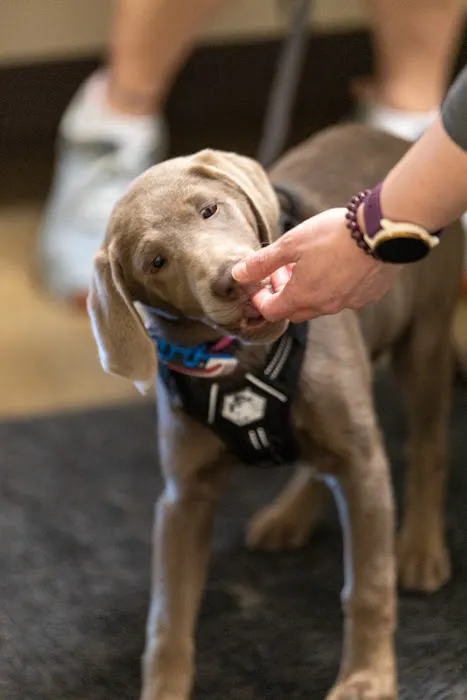 South Platte Veterinary Hospital Picture 8