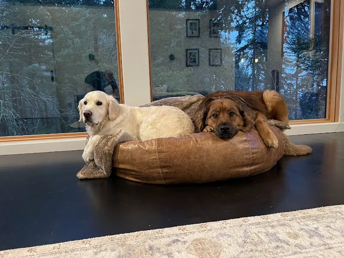 Cascade Summit Animal Hospital Picture 6