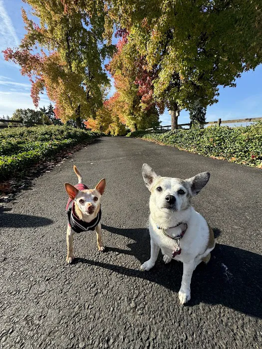 Cascade Summit Animal Hospital Picture 4