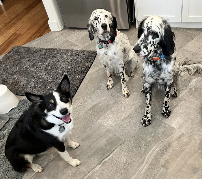 Cascade Summit Animal Hospital Picture 2