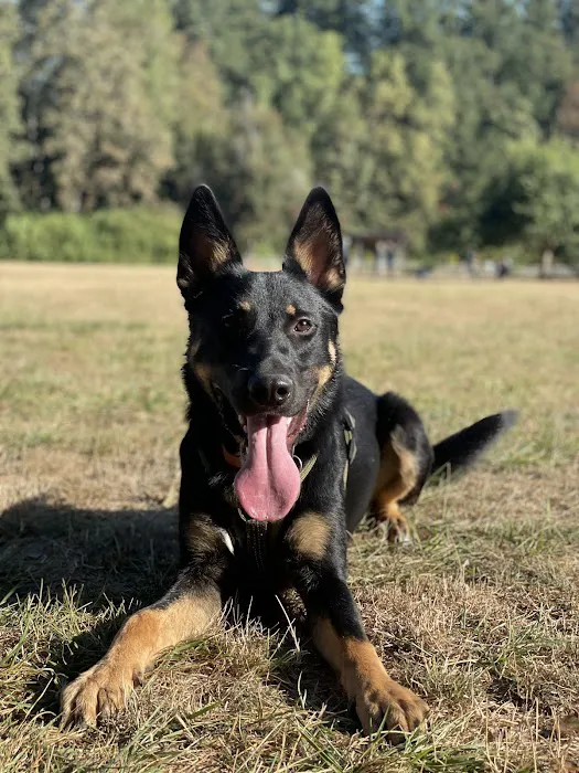 Cascade Summit Animal Hospital Picture 8