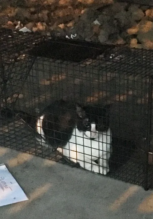 Banfield Pet Hospital Picture 10