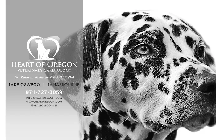 Heart of Oregon Veterinary Cardiology Picture 2