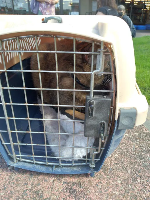 Good Neighbor Vet Picture 2
