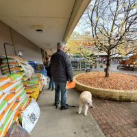 Good Neighbor Vet ico