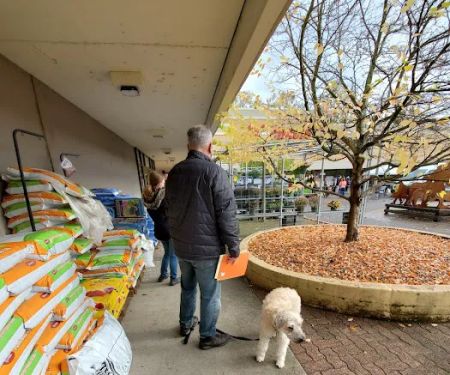 Good Neighbor Vet