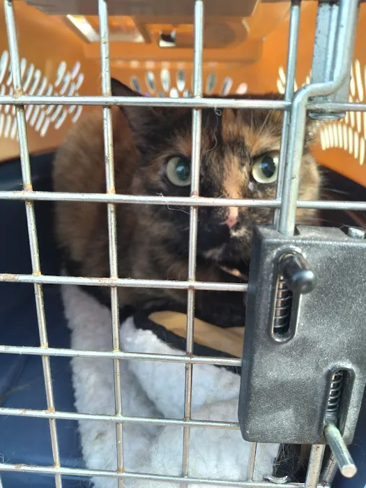 Good Neighbor Vet Picture 7