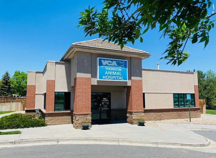 VCA Thornton Animal Hospital Picture 1