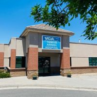 VCA Thornton Animal Hospital ico