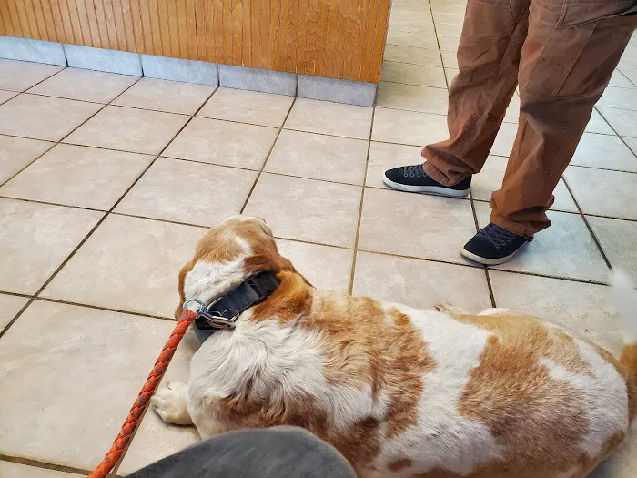 VCA Thornton Animal Hospital Picture 5