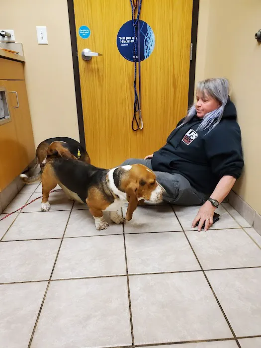 VCA Thornton Animal Hospital Picture 4