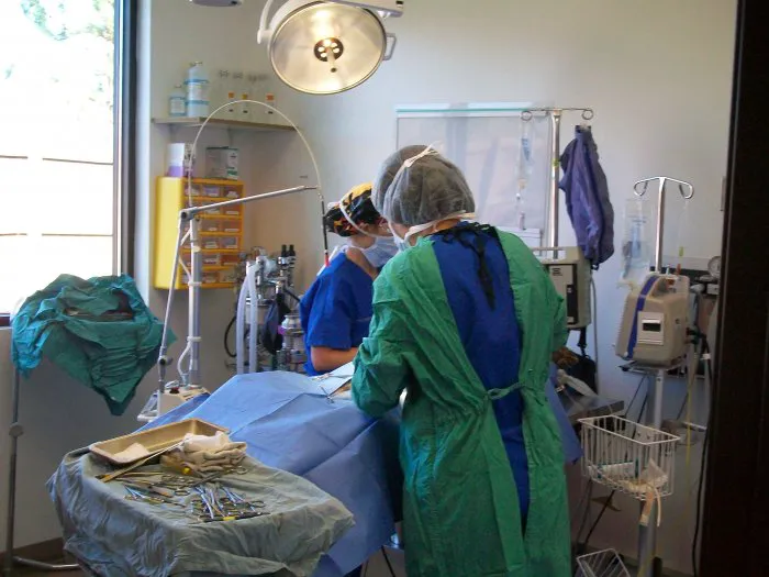 VCA Thornton Animal Hospital Picture 9