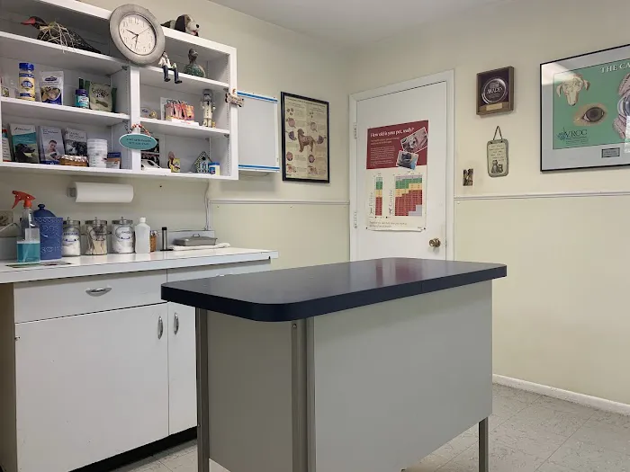 Alpine Glenn Veterinary Clinic Picture 1