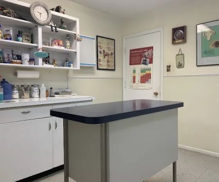Alpine Glenn Veterinary Clinic