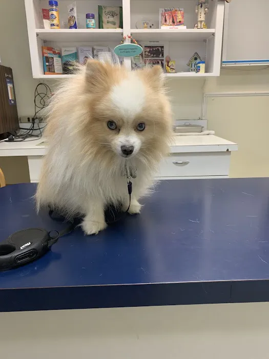 Alpine Glenn Veterinary Clinic Picture 5