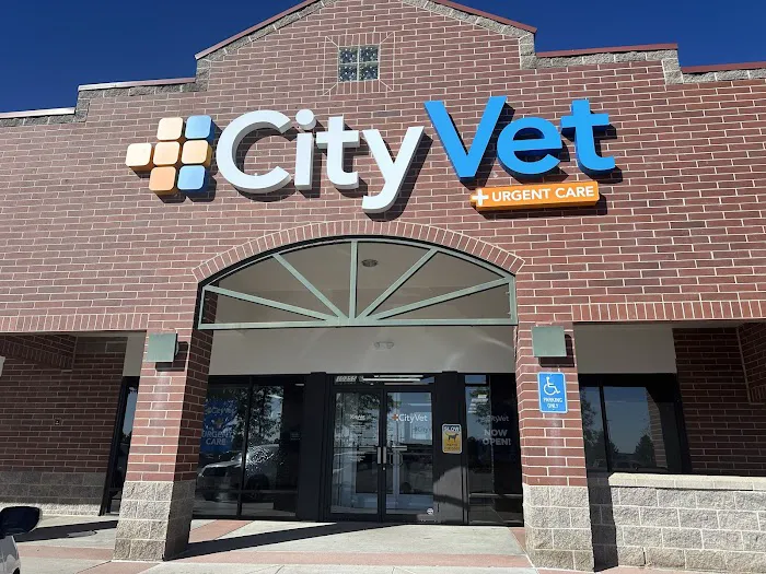 CityVet | Westminster Veterinary Clinic & Urgent Care Picture 3