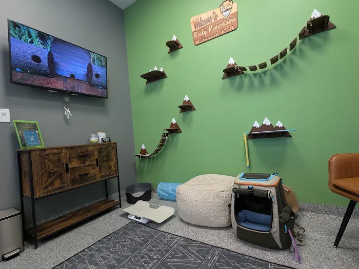 PetVet365 Pet Hospital Denver/Westminster Picture 5
