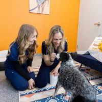 PetVet365 Pet Hospital Denver/Westminster ico