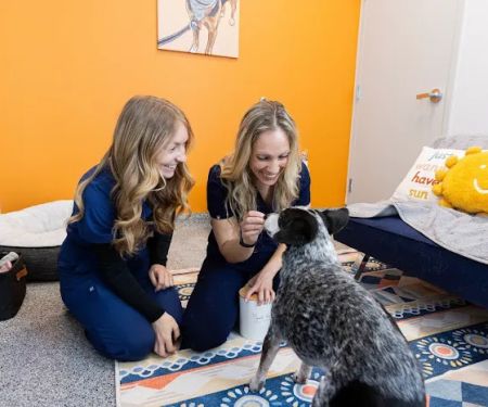 PetVet365 Pet Hospital Denver/Westminster