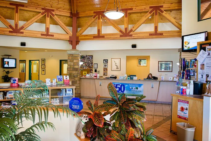 Indian Tree Animal Hospital Picture 3