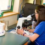 Indian Tree Animal Hospital