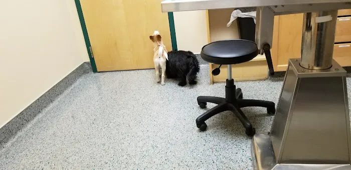Indian Tree Animal Hospital Picture 7