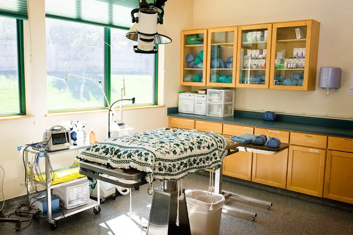 Indian Tree Animal Hospital Picture 9