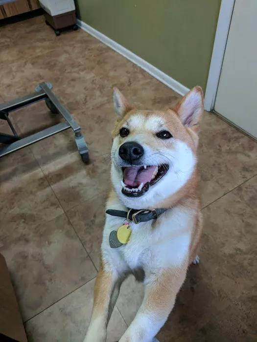 Jefferson Animal Clinic Picture 7
