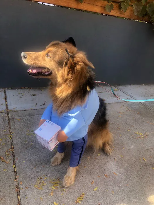 Jefferson Animal Clinic Picture 8