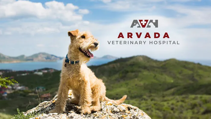Arvada Veterinary Hospital Picture 1