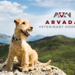 Arvada Veterinary Hospital