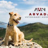 Arvada Veterinary Hospital ico