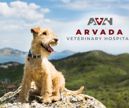Arvada Veterinary Hospital
