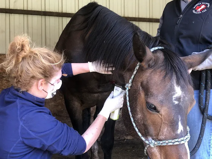 Mobile Veterinary Services Picture 2