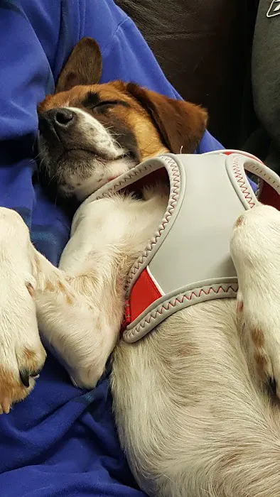 Red Rocks Animal Center Picture 7
