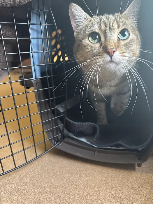 Alameda Veterinary Clinic Picture 4