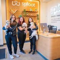 Sploot Veterinary Care - Belmar ico