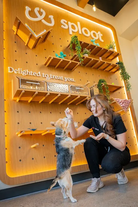 Sploot Veterinary Care - Belmar Picture 7
