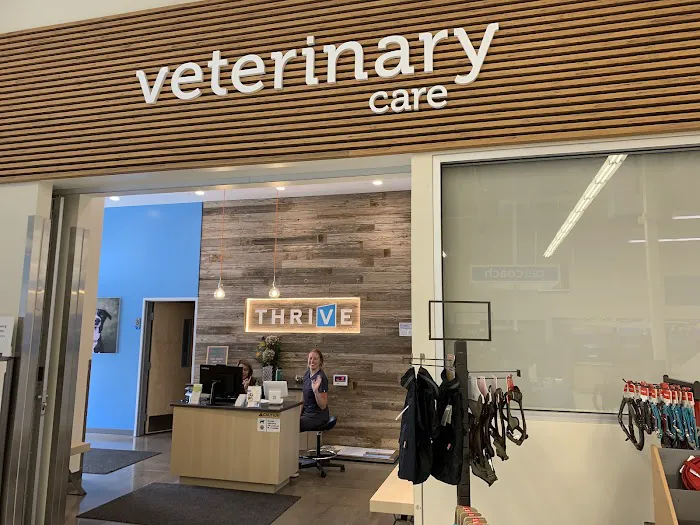 Vetco Total Care Animal Hospital Picture 3