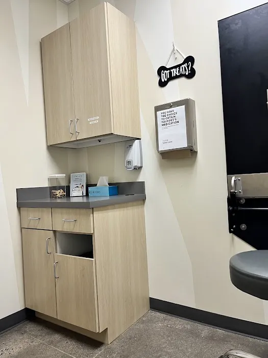 Vetco Total Care Animal Hospital Picture 10