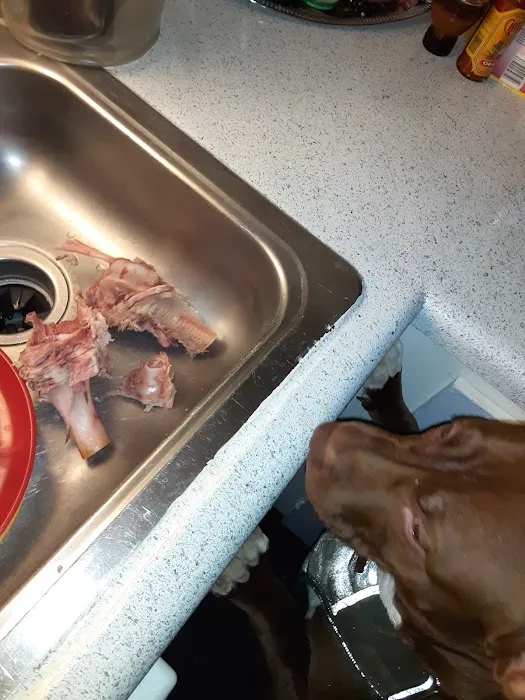 Vetco Total Care Animal Hospital Picture 5