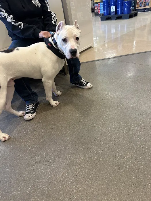 Vetco Total Care Animal Hospital Picture 8
