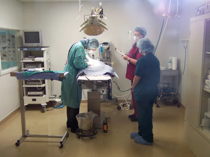 VCA Southeast Area Animal Hospital Picture 7