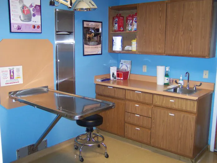 VCA Southeast Area Animal Hospital Picture 3