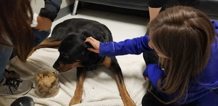 Broadview Animal Clinic Picture 6
