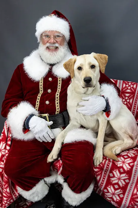 Pet Care Coalition, Inc Picture 5