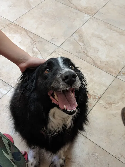 Altos Veterinary Clinic Picture 7