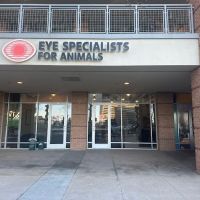 Eye Specialists for Animals ico